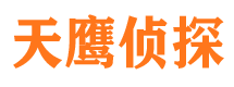 平房侦探公司